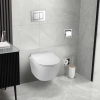 Balneo Unterputz-WC-Set, Fix-Frame Standard-Rahmen mit weißer Luna-WC-Schüssel und einer Taste Ihrer Wahl