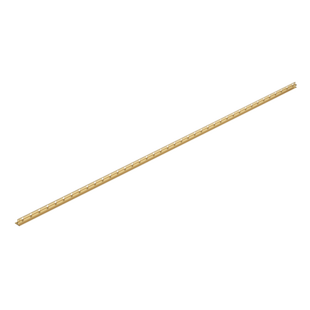 Balneo Gefälleleiste Gold für Glas rechts 170 cm